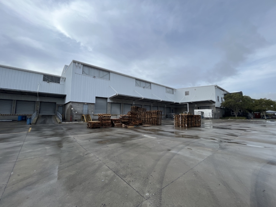 To Let commercial Property for Rent in Montague Gardens Western Cape